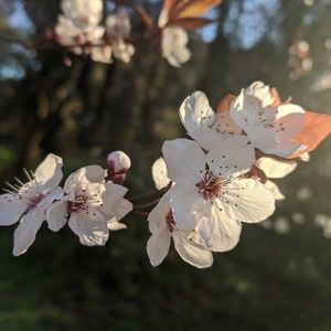 Meet your Posher, Lena